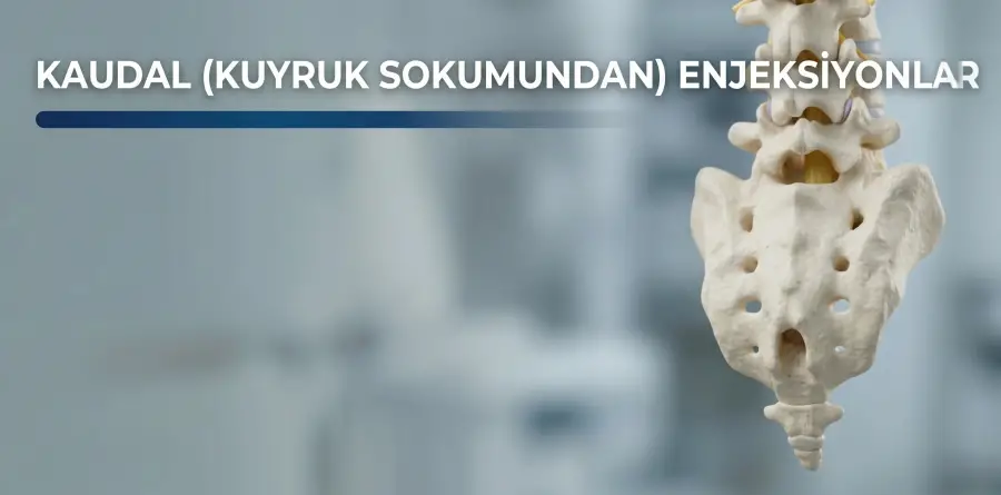 Kaudal (Kuyruk Sokumundan) Enjeksiyonlar Kaudal (Kuyruk Sokumundan) Enjeksiyonlar